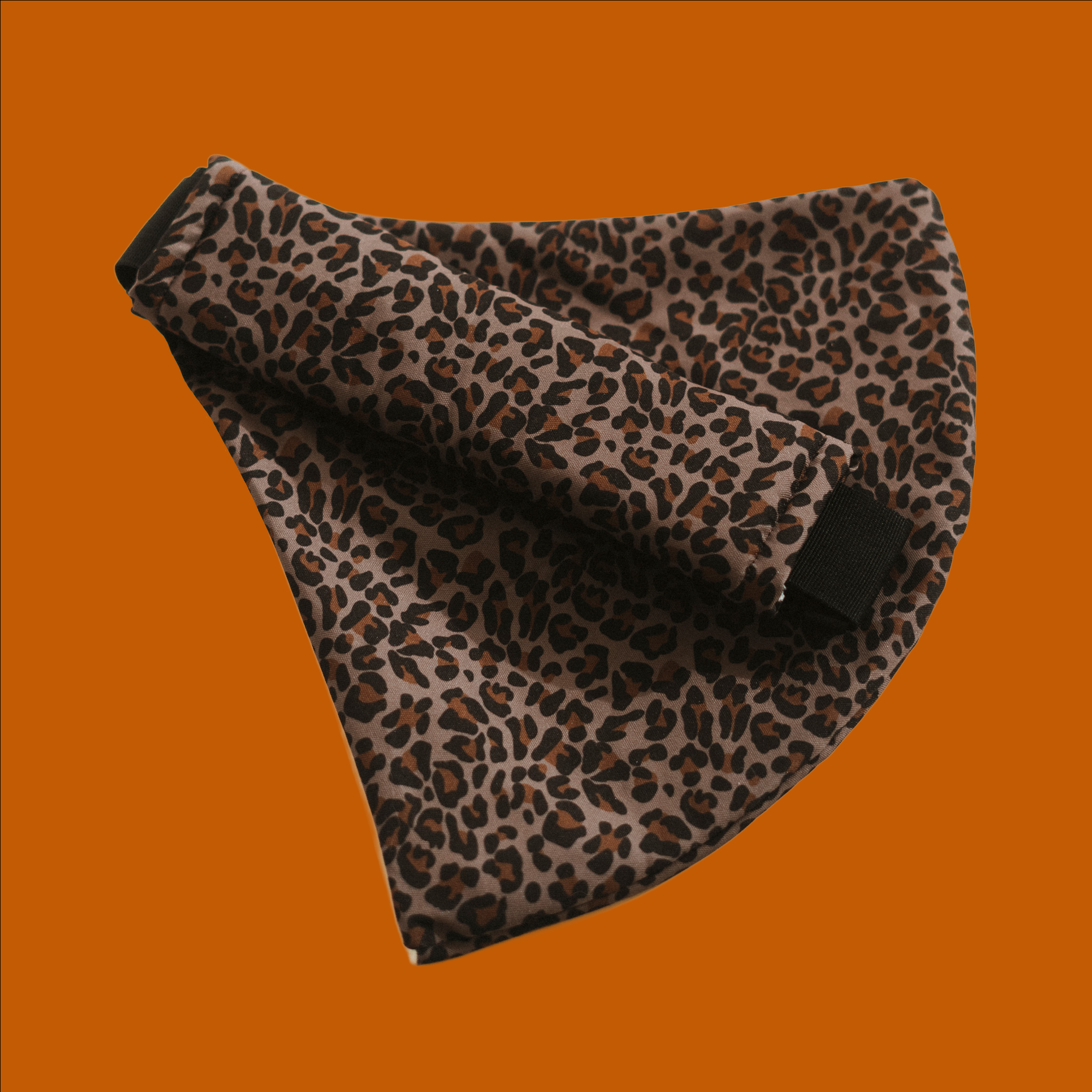 Urban Leopard