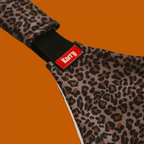 Urban Leopard